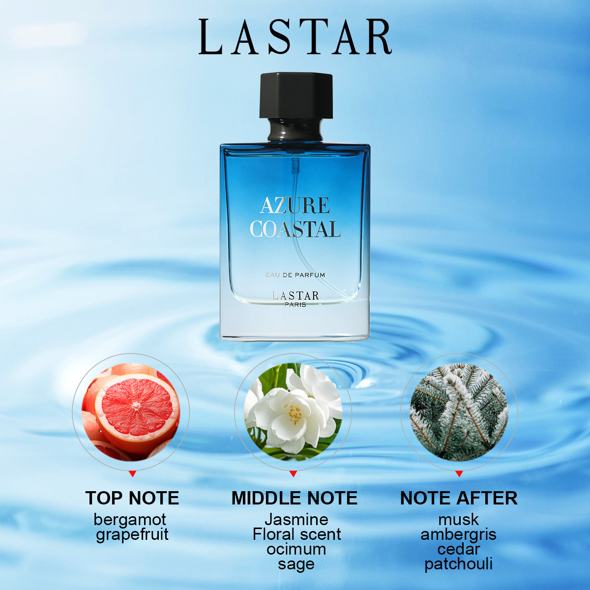 LASTAR メンズ香水、2本合計100ml/3.38fl. - Perfume Adrien Fragrance のレビューと価格