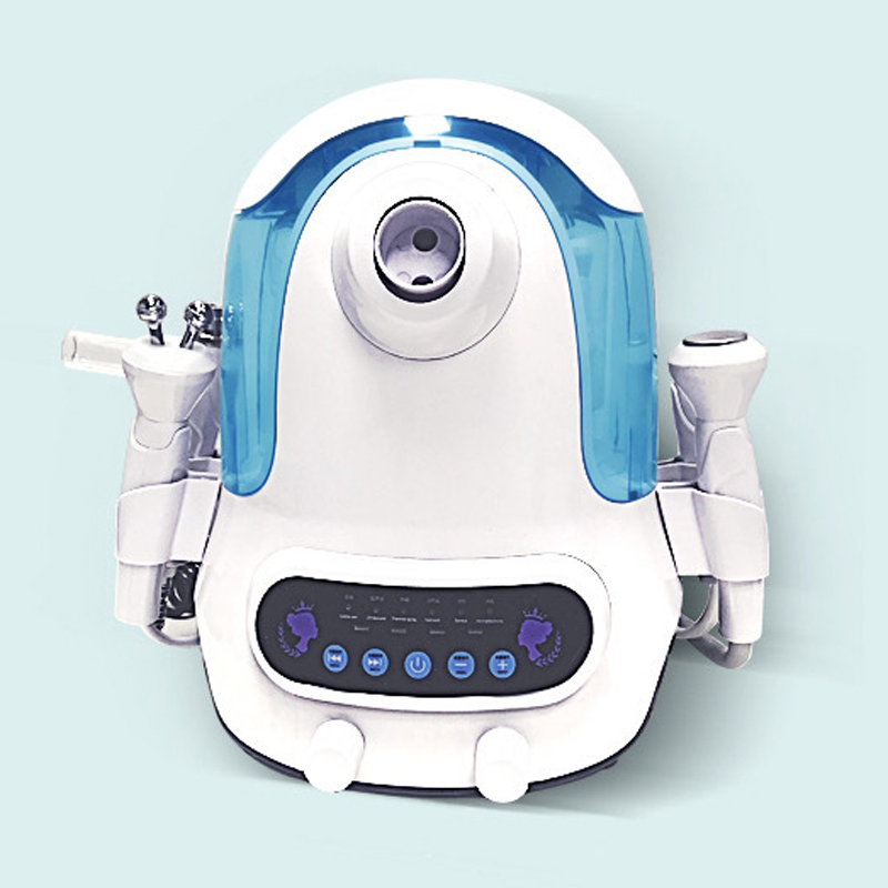 溶射小泡美容専用機器 300W 肌管理酸素注入水光機器 - Rose Water Spray のレビューと価格
